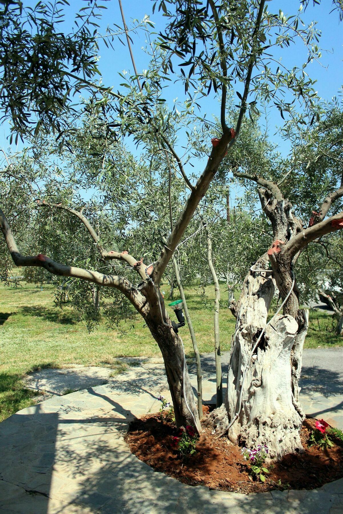 Ktima Anastasia Nafplio Exterior photo
